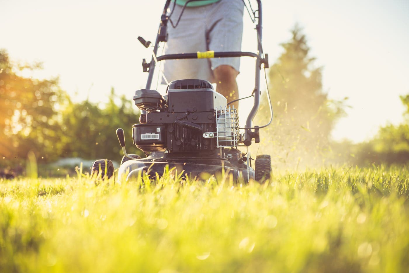 Yard work and landscaping