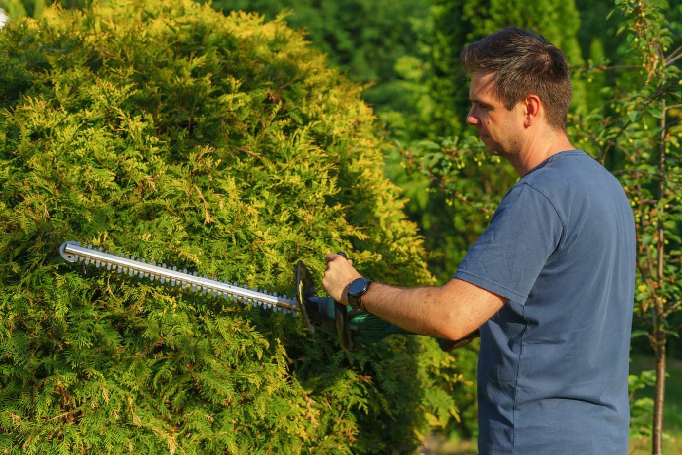 Yard Work in West Kelowna